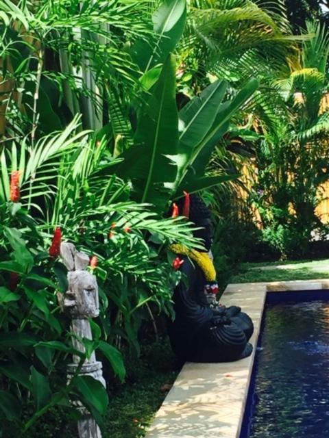 Kayu Bali Canggu Exterior foto